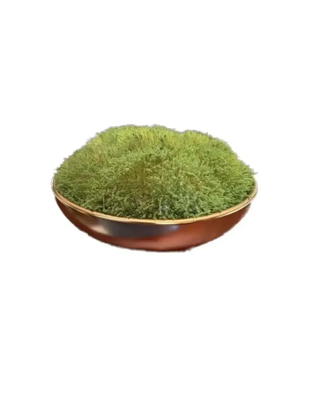 NEW UNIQUE Target Threshold Tabletop Moss Arrangement in Gold Bowl